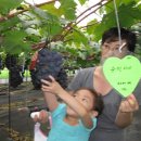 청마농장 이미지