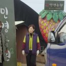 해피스피릿 이미지