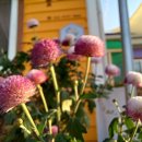 솔바다민박 이미지