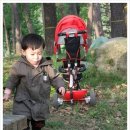 삼식육계 이미지