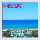 삼척 여행코스 총정리｜4남매와 다녀온 삼척 가볼만한 곳, 맛집, 숙소까지,삼척 아이