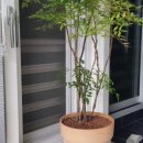 양지-3556 이미지