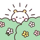 도담도담펫살롱 네이버블로그