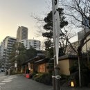 151 SD TOWER (SD타워) | 파워J&#39;s 도쿄 가볼만한 곳top5 도쿄타워 및 도쿄투어 관광 액티비티 추천