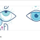 경기안경콘택트 이미지