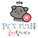 리인제주 이미지