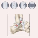 세종튼튼한의원 이미지