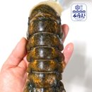 푸드테일 이미지