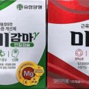 늘편한약국 이미지