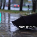 세미기획
