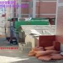 남구-54 네이버블로그
