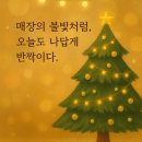 안경진정성이마트신촌점 | 제천 안경진정성에서 맞춘 카린 다초점 안경✨ 편안함 속의 세련미