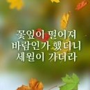 11월.4일.목요일 간추린 뉴스 이미지