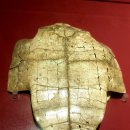 안양박물관 이미지