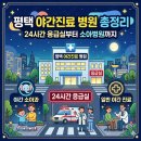 청북솔약국 | 평택 야간진료 병원 총정리 🌙 24시간 응급실부터 소아병원까지(+약국)