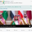브리스 이미지