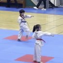 태권도 배움道장 | 제8회 세종 시장기 품새 대회