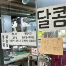 보운분식 | 목포 달콤김밥 달걀지단이 주먹만한 계란김밥 현지분식추천