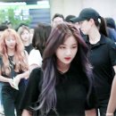 빼꼼낼름 이미지