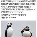 구성1 이미지