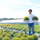 축현1리 이미지