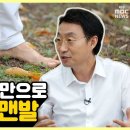 맨발 걷기 - 접지(땅에 닿기) 이미지