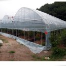 양강농장 이미지