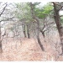 지산목장 이미지