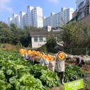 동실유치원 이미지