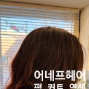 연남로 | 스타일 고민 끝! 어네프헤어에서 세팅펌 +커트 염색하고 만족한 후기