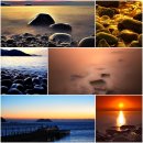 마로니에민박 이미지