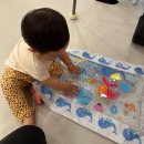 라라그라운드