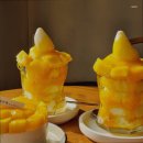 블루메디 이미지