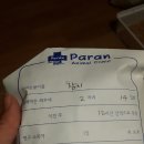 파란종합 동물병원 이미지