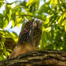 화북면보건지소 이미지