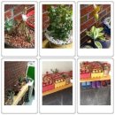 정동진썬게스트하우스 이미지