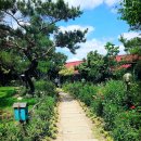 물맑은집 이미지