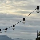 러빙포치유카라반 이미지