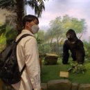 호텔랑주 이미지