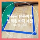 양주실내체육관 배드맨턴장 | 체육관 원목마루 변색 복원