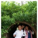 신광초등학교 이미지