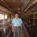 하나래농장 이미지