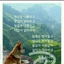 청산은 나를보고 이미지