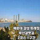 갈맷길8-2 | 부산 갈맷길 2코스 1구간｜송정해변~청사포~해운대~동백섬~민락교 트래킹