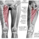 아레아필라테스 소사본점 이미지