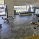 안녕, 상이 친구들! 이미지