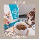 애견사료 농협헬스케어 독이너프 어덜트 강아지사료 후기