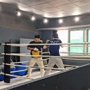 신쿤킥복싱
