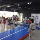 경희대진무태권도장 이미지