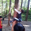 산남초등학교 이미지